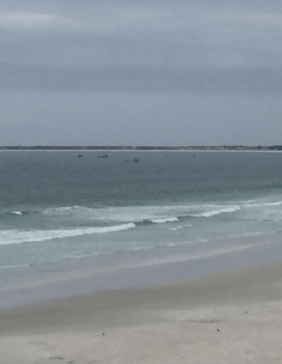 Captura de Tela 2016-08-30 às 15.11.26