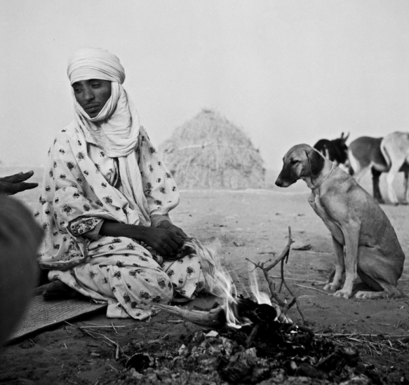 captura-de-tela-2016-11-09-as-22-04-53